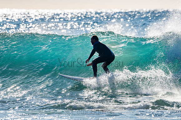 Whale_Beach-200805-07.46-137