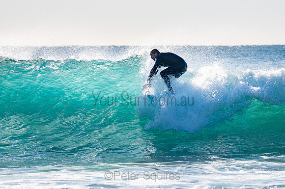 Whale_Beach-200805-07.46-031