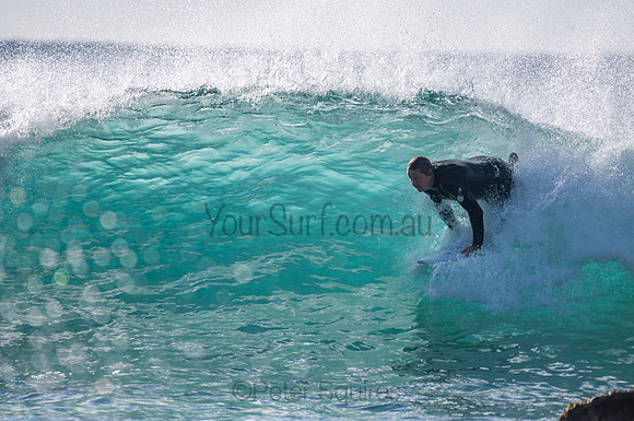 Whale_Beach-200805-08.11-017
