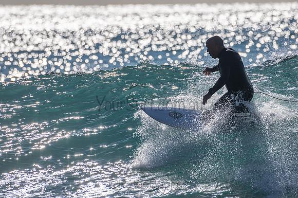 Whale_Beach-200805-08.12-565