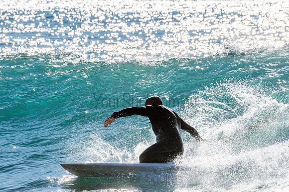 Whale_Beach-200805-08.12-332