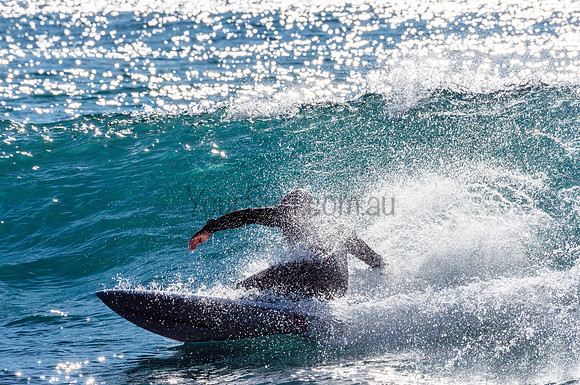 Whale_Beach-200805-08.12-146