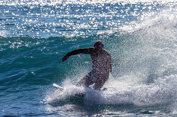 Whale_Beach-200805-08.12-564