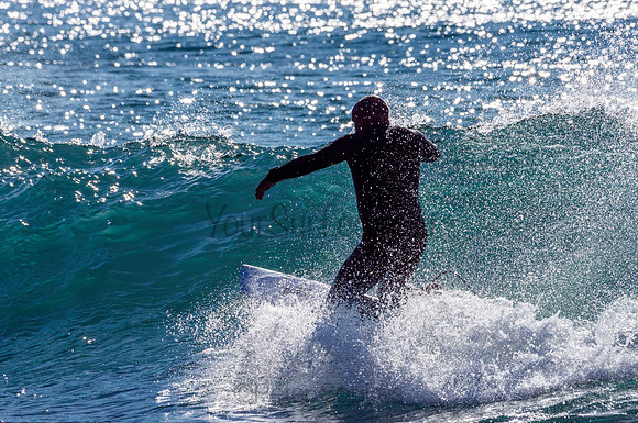 Whale_Beach-200805-08.12-455