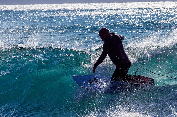 Whale_Beach-200805-08.12-519