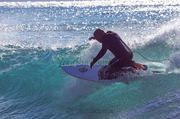 Whale_Beach-200805-08.12-037