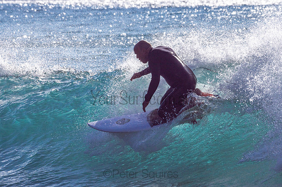 Whale_Beach-200805-08.12-480