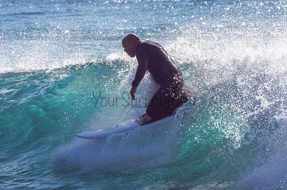 Whale_Beach-200805-08.12-382