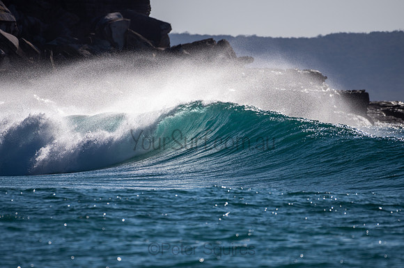 Whale_Beach-200805-08.17-440