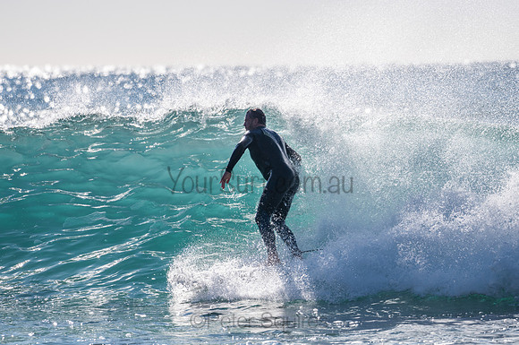 Whale_Beach-200805-08.21-196