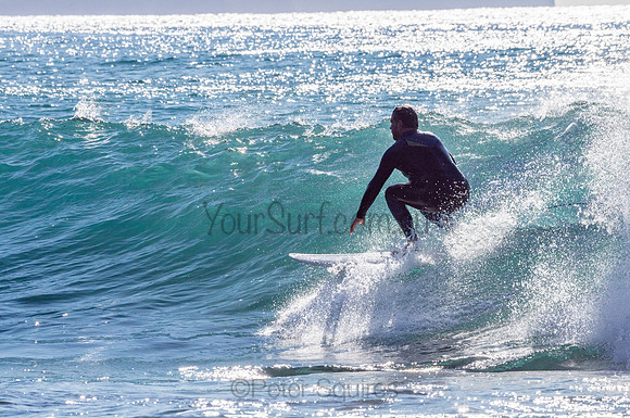 Whale_Beach-200805-08.21-511