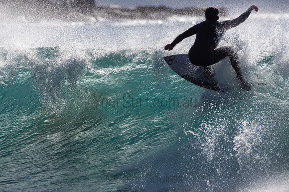 Whale_Beach-200805-08.25-456