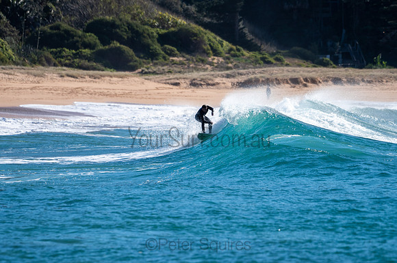 Whale_Beach-200805-08.27-501