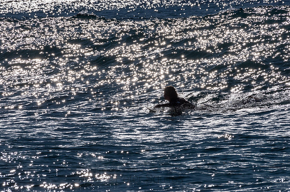 Whale_Beach-200805-08.31-391