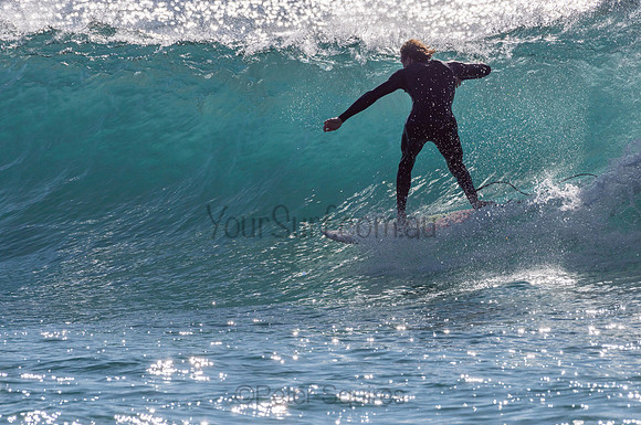 Whale_Beach-200805-08.31-386