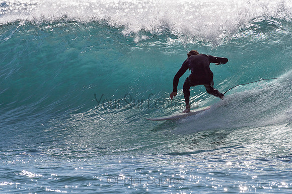 Whale_Beach-200805-08.31-305