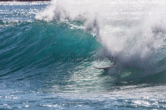 Whale_Beach-200805-08.31-330