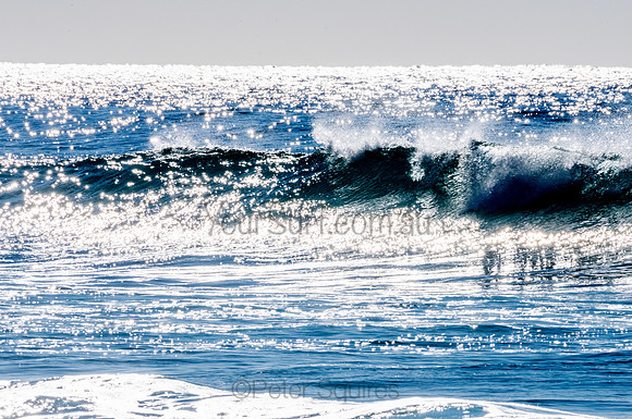 Whale_Beach-200805-08.40-102