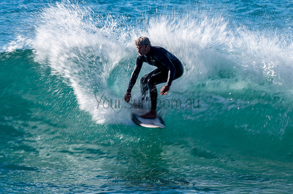 Whale_Beach-200805-08.40-234