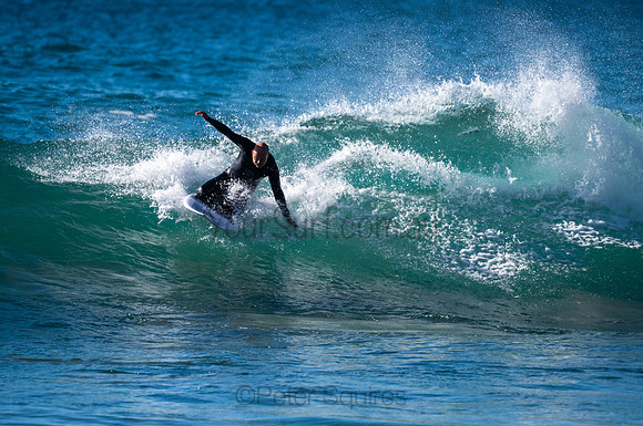 Whale_Beach-200805-08.41-603
