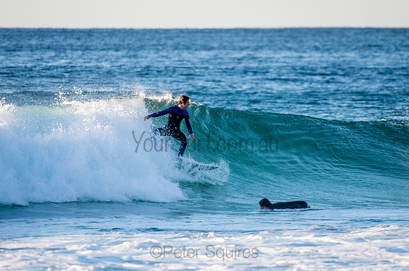Whale_Beach-200806-06.29-715