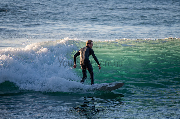 Whale_Beach-200806-06.35-079