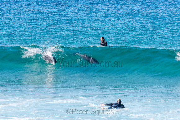 Nth_Palm_Beach-200806-11.29-144