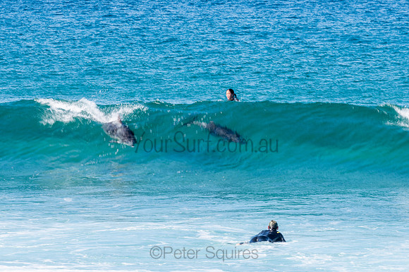 Nth_Palm_Beach-200806-11.29-075