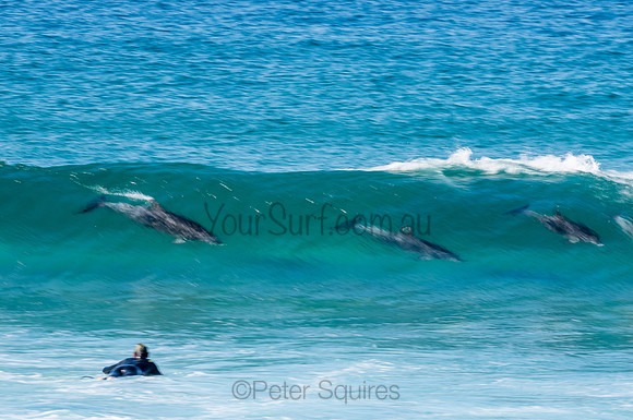 Nth_Palm_Beach-200806-11.29-135