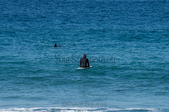 Nth_Palm_Beach-200806-11.41-156