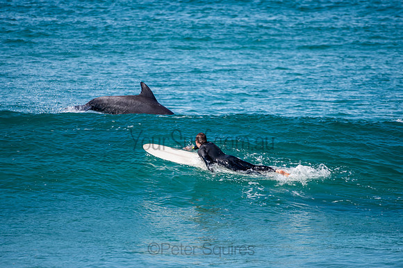 Nth_Palm_Beach-200806-11.30-280
