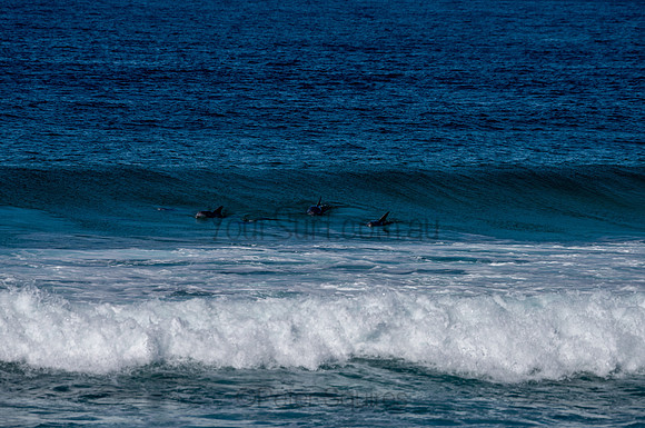 Nth_Palm_Beach-200806-11.34-379