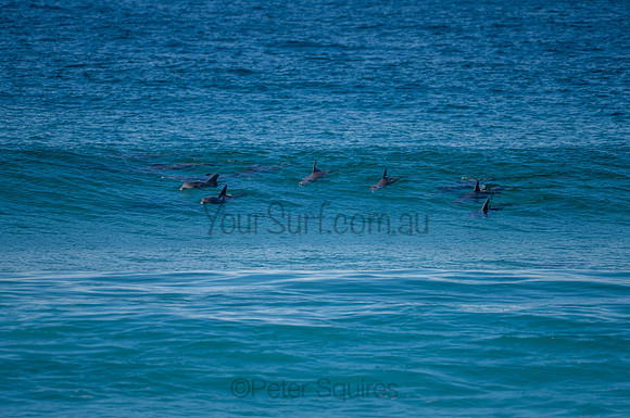 Nth_Palm_Beach-200806-11.36-665
