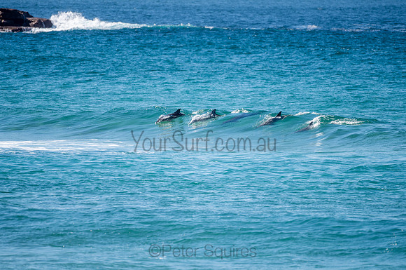 Nth_Palm_Beach-200806-11.46-404