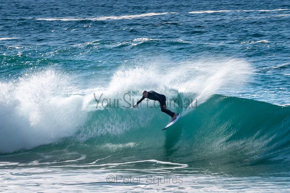 Whale_Beach-200809-09.08-268