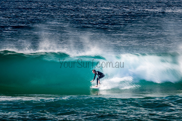 Whale_Beach-200809-09.11-169