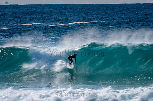 Whale_Beach-200809-09.13-571