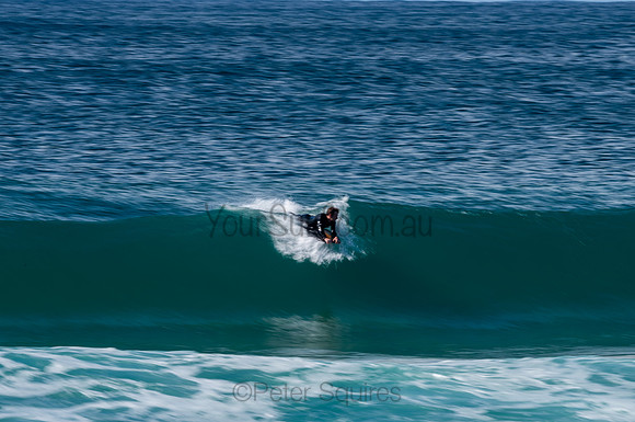 Whale_Beach-200809-09.14-678