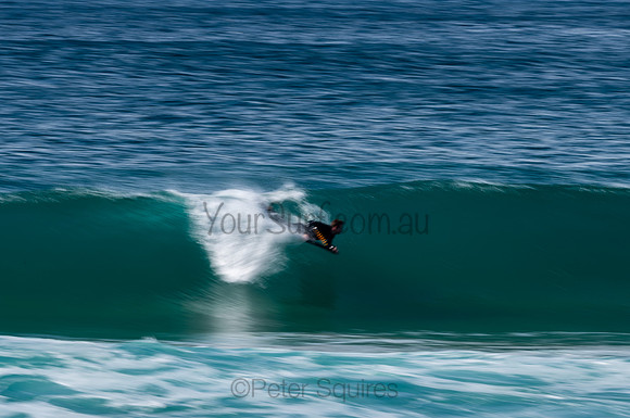 Whale_Beach-200809-09.14-067