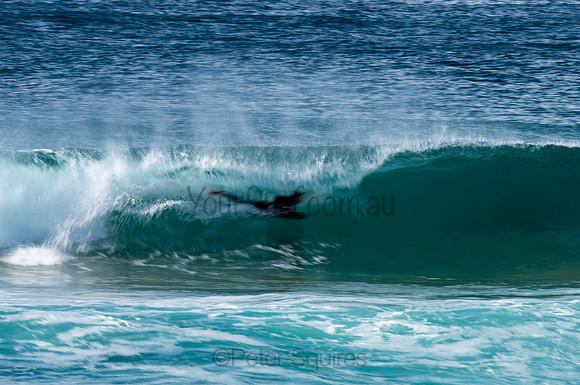 Whale_Beach-200809-09.14-494