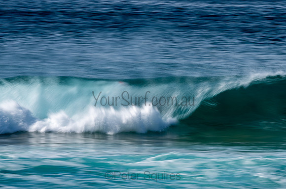 Whale_Beach-200809-09.14-491