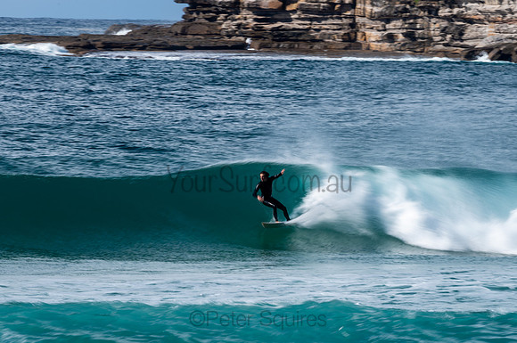 Whale_Beach-200809-09.15-613