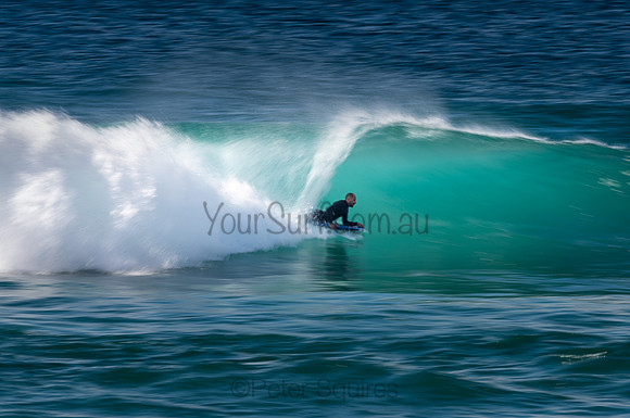 Whale_Beach-200809-09.17-208