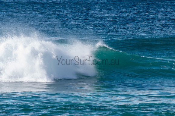 Whale_Beach-200809-09.18-225