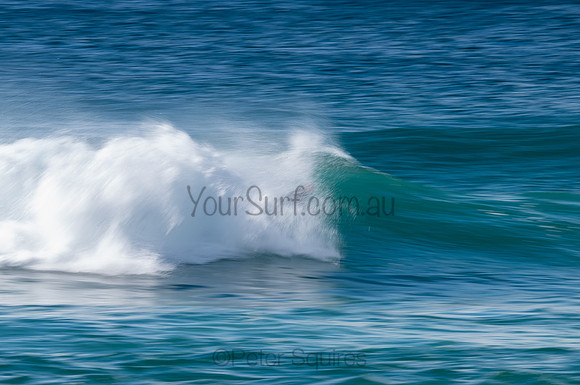 Whale_Beach-200809-09.18-178