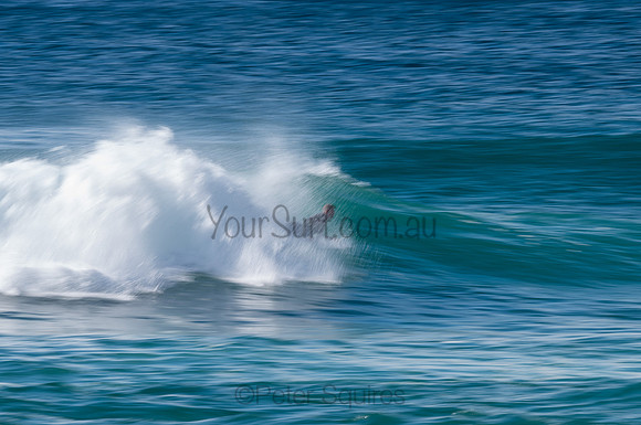 Whale_Beach-200809-09.18-170