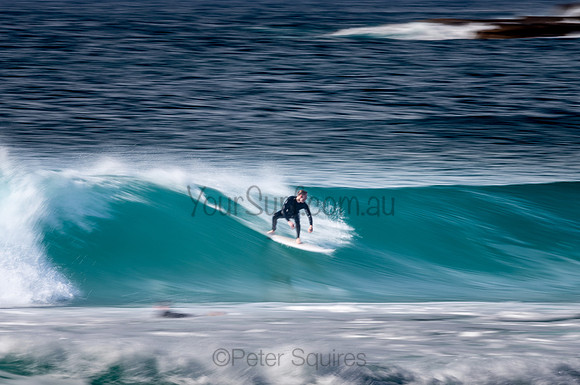 Whale_Beach-200809-09.20-119