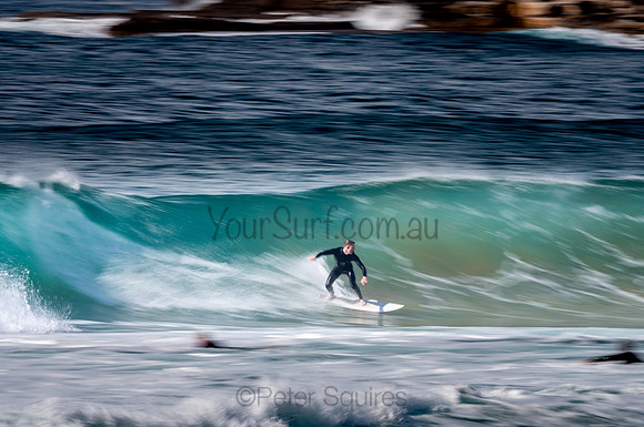 Whale_Beach-200809-09.20-459