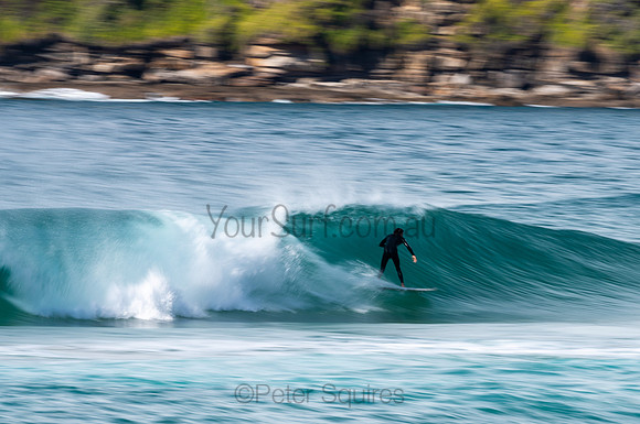 Whale_Beach-200809-09.21-1363