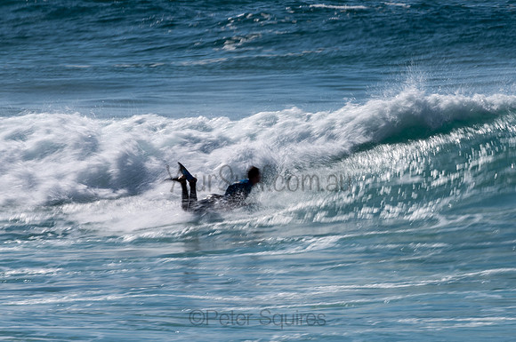 Whale_Beach-200809-09.25-1050